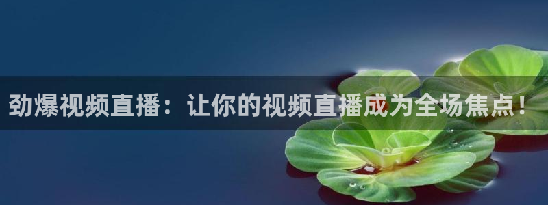 劲爆视频直播：让你的视频直播成为全场焦点！