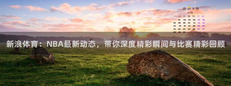 新浪体育：NBA最新动态，带你深度精彩瞬间与比赛精彩回顾