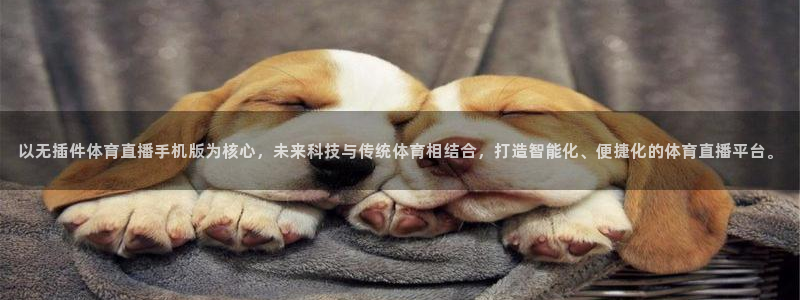 以无插件体育直播手机版为核心，未来科技与传统体育相结合，打造智能化、便捷化的体育直播平台。