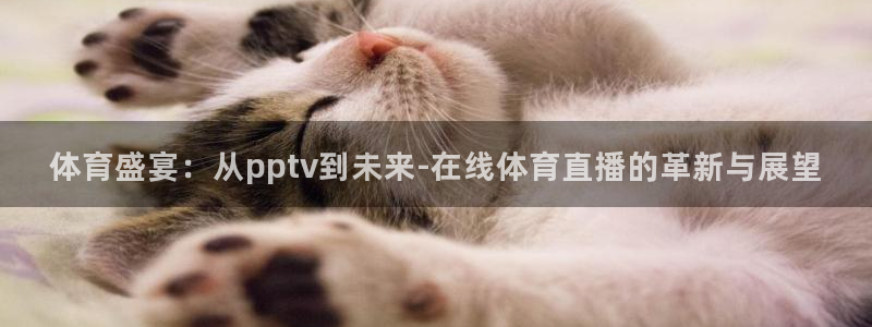 体育盛宴：从pptv到未来-在线体育直播的革新与展望
