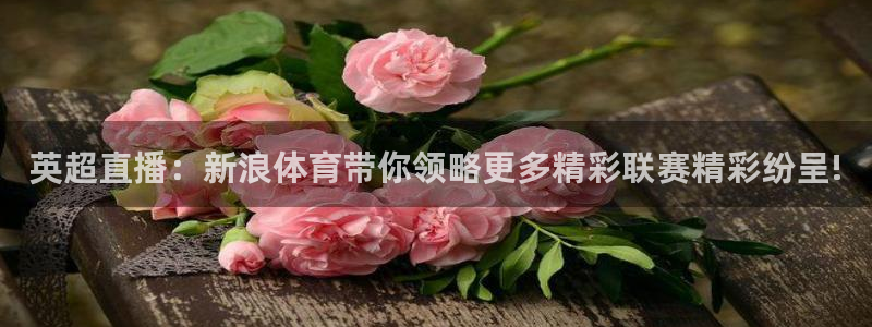 英超直播：新浪体育带你领略更多精彩联赛精彩纷呈!